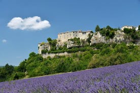 Halvdagstur med liten gruppe i Provence