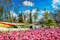 Traditional Tulip Festival in Emirgan Park, a historical urban park at springtime, spring travel background.