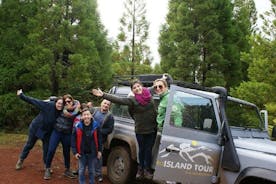 Excursión de medio día a la isla de Terceira en vehículo 4x4