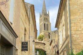 Saint-Emilion Morning wine tour, winery & tastings from Bordeaux