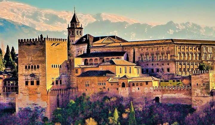 Full Alhambra tour with preferential access (SPANISH language)