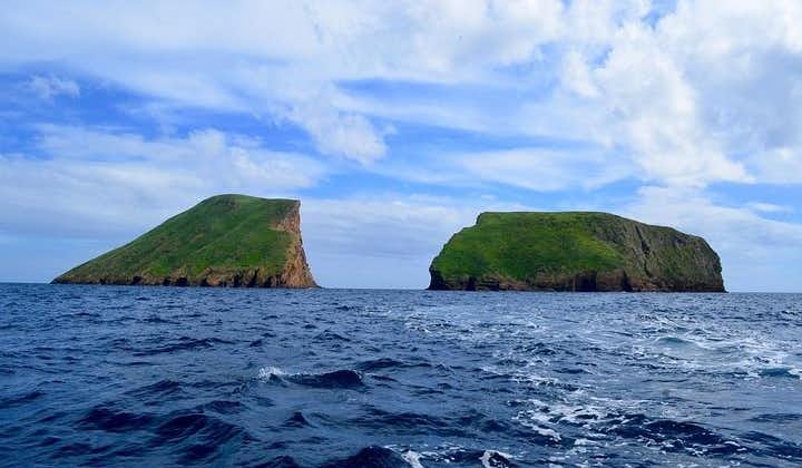 Boat Tour to Cabras Islets (2 hours)