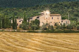 Country Trek met boerderijlunch en olijfolieproeverij in Monteriggioni