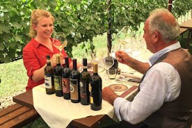 San Gimignano Cena en las hileras de viñedos y degustación de vinos.