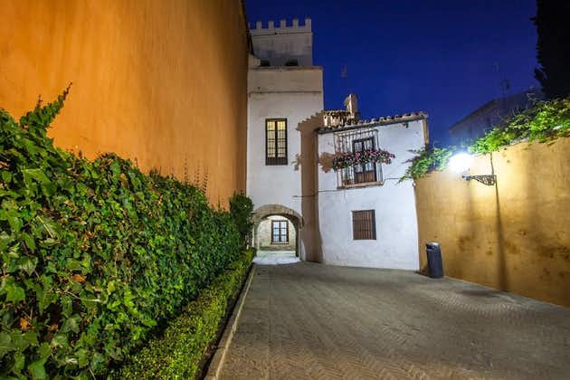 Spettacolo di flamenco e percorso notturno attraverso il quartiere ebraico di Siviglia.