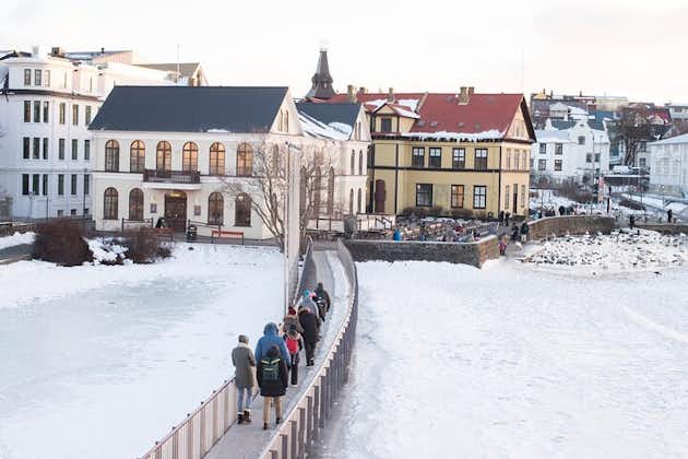 Excursão a pé para grupos pequenos em Reykjavík - por CityWalk