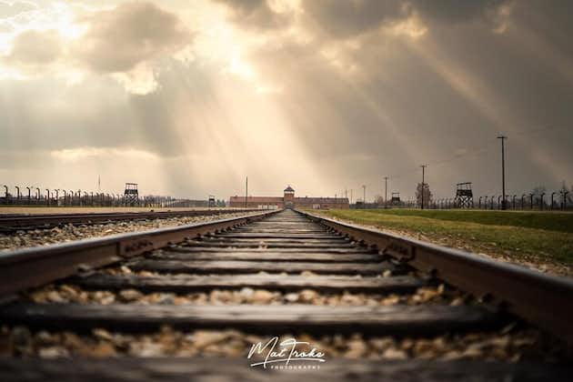 Auschwitz-Birkenau Memorial and Museum Guided Tour - Private Transport