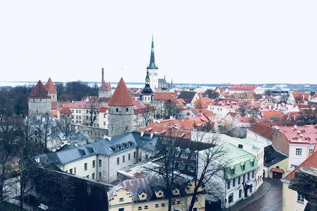 Tour di un'intera giornata a Tallinn da Helsinki con prelievo dall'hotel