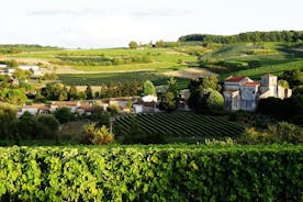 Half-day Guided E-Bike Ride to Discover The Cognac Vineyard