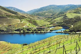 Autentisk Douro-vintur inklusive lunch och flodkryssning