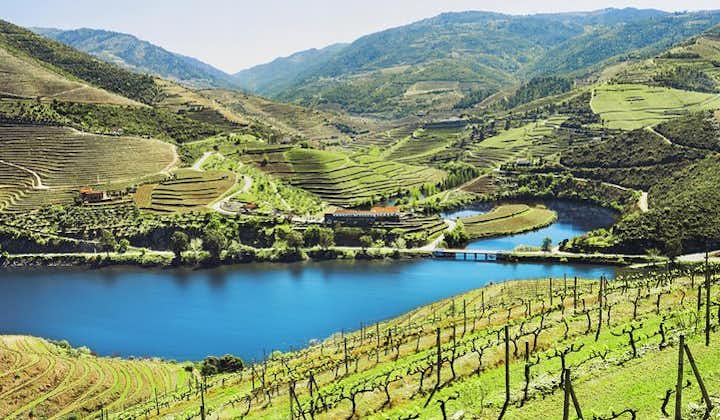 Autentisk Douro-vintur inklusive lunch och flodkryssning
