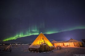 Cena con il popolo delle renne sami e con aurora boreale a Tromso