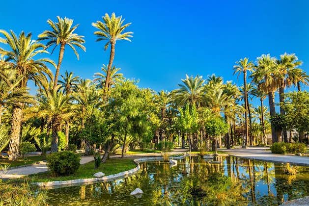 Experience the World Heritage City of Elche private tour