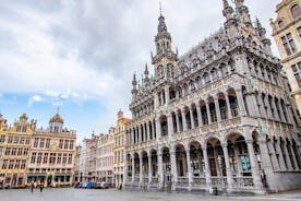 Sérstök einkaleiðsögn um arkitektúr Brussel með heimamanni