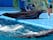 Odesa Dolphinarium Nemo, Odesa, Одеський район, Odesa Oblast, Ukraine
