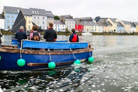 Boat cruise with local skipper on Galway Bay. Galway city. 1 hour