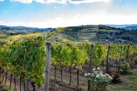 Chianti Safari: Tuscan Villas with vineyards, Cheese, Wine & Lunch from Florence