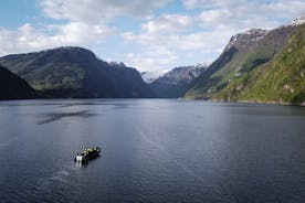 Passeio panorâmico de aventura RIB em Ulvik para Osafjord