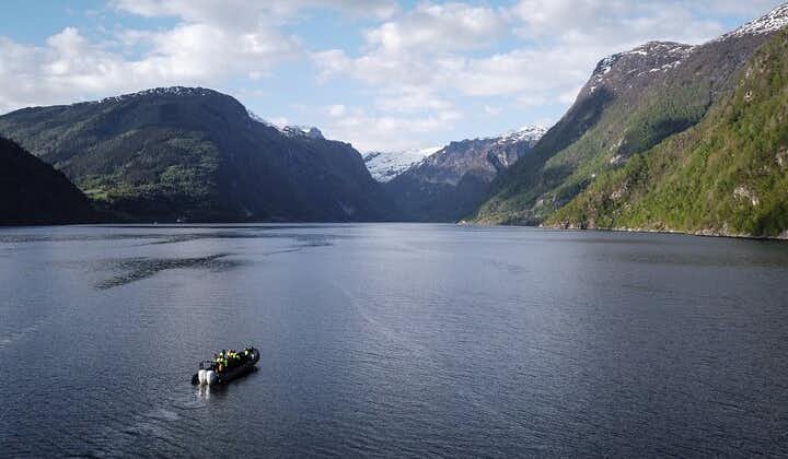Ulvik scenic RIB adventure tour to Osafjord