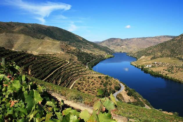Vintur til Douro-dalen: Besøg på tre vingårde med vinsmagninger og frokost