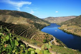 Tour della valle del Douro: visita a tre vigneti con degustazione di vini e pranzo