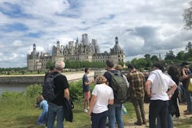 Escursione privata ai castelli della Loira con guida locale
