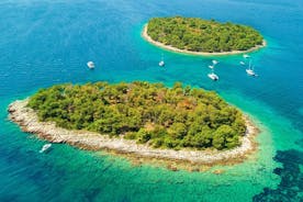 Blue Lagoon & Maslinica half day tour from Trogir