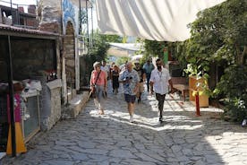 Gita di un giorno per piccoli gruppi a Efeso da Izmir
