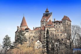 Från Cluj: Slottsrundtur i Transsylvanien