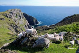 Ring of Kerry e Skellig Ring Private Day Tour