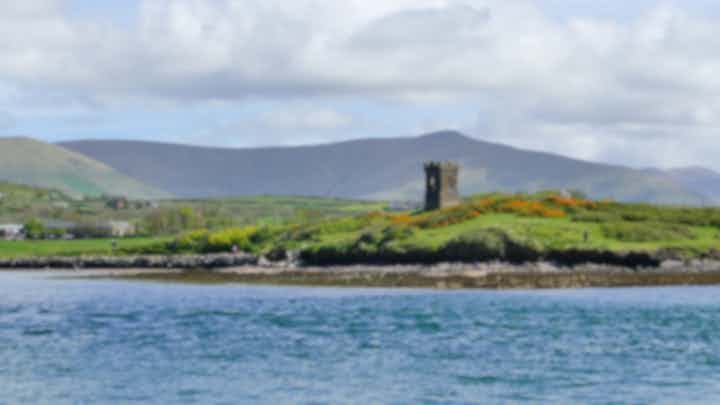 Sailing tours in Dingle, Ireland