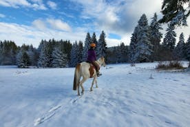 Horse riding experience from Borovets