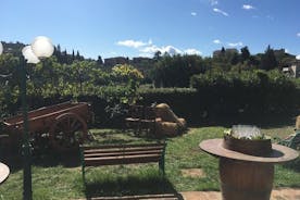 Visita privada a una bodega de San Gimignano con degustaciones de vino y aceite de oliva