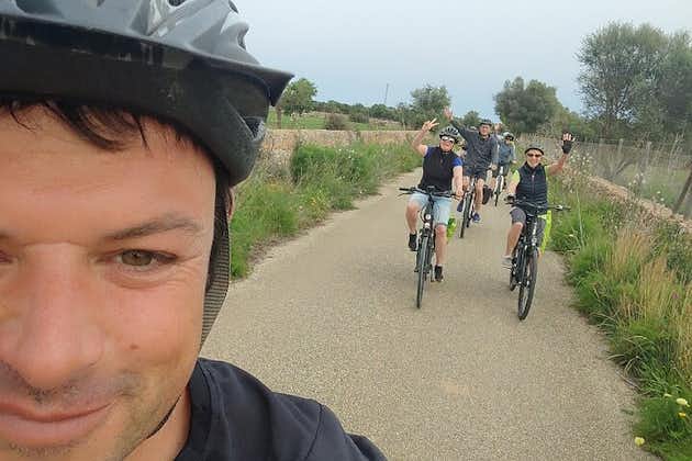 Tour di mezza giornata in e-bike attraverso i villaggi più sconosciuti di Maiorca