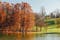 Photo of Autumn Trees Landscape Of Tineretului Park In Bucharest, Romania.