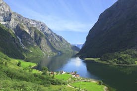 Private Ganztagesrundfahrt von Oslo nach Sognefjord mit der Flåmbahn