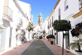Ganztägige private Tour in Gibraltar und Estepona von Marbella aus