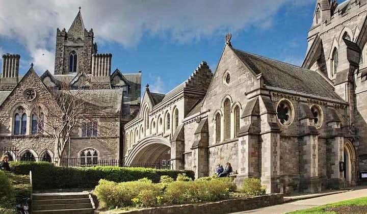 Entrada para la catedral de la Santísima Trinidad de Dublín