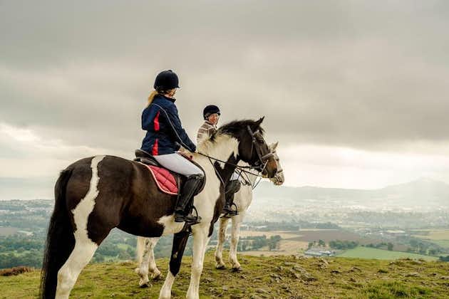 Dagtrip naar de Wicklow Mountains met paardrijden, inclusief Glendalough-tour vanuit Dublin
