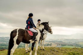 Excursão diurna para grupos pequenos em Wicklow e Glendalough saindo de Dublin com passeio a cavalo