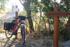 Monreale e Piana degli Albanesi : Bike & Cannoli