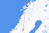 Flyg från Andenes till Östersund