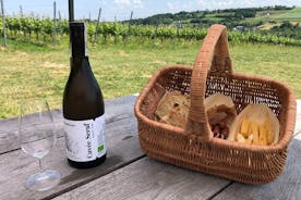 Wieliczka vingård: Vinprovning med lokala snacks