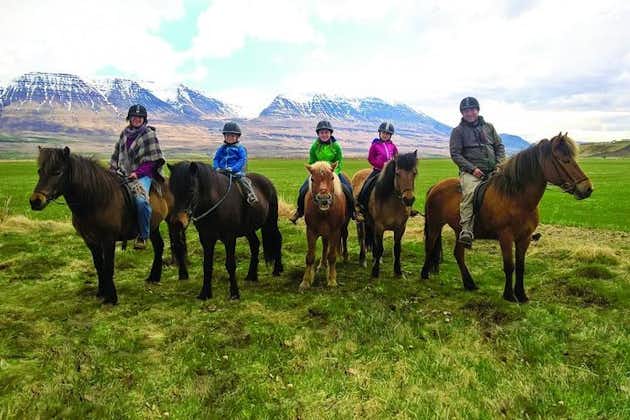 Balade à cheval en famille à Skagafjörður