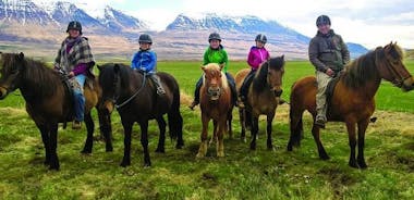 Family Friendly Horse Riding Tour in Skagafjörður