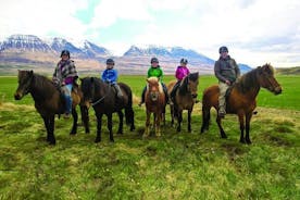 Family Friendly Horse Riding Tour in Skagafjörður