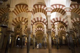 Cordoba inkludert moske og katedral guidet tur fra Sevilla
