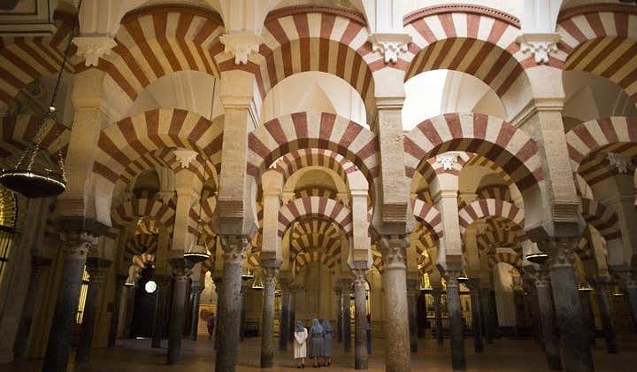 Cordoba inklusive moské och katedral guidad tur från Sevilla
