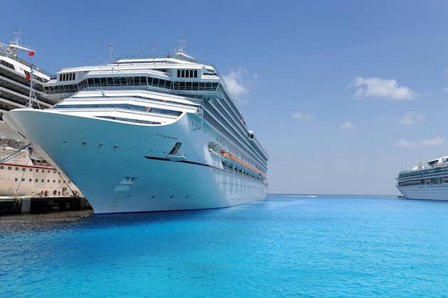 Private Malaga Transfer: Cruise Port to Central Malaga and Costa del Sol