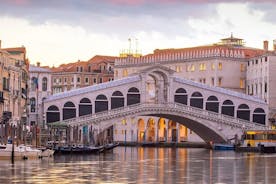 Full day luxury trip to Venice with private car and driver from Milan